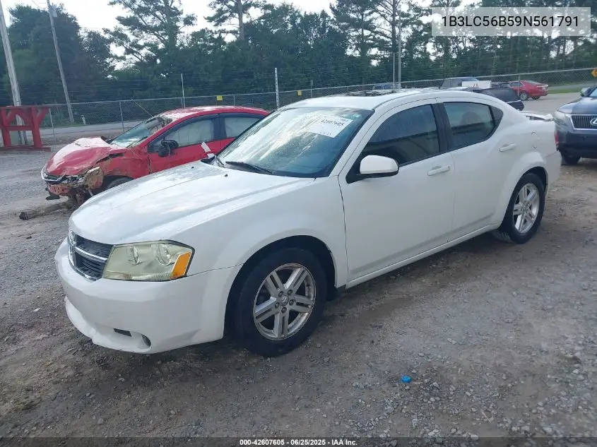 2009 Dodge Avenger Sxt VIN: 1B3LC56B59N561791 Lot: 42607605