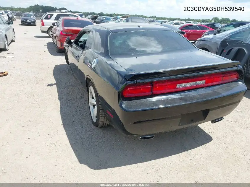 2013 Dodge Challenger Sxt VIN: 2C3CDYAG5DH539540 Lot: 42578481