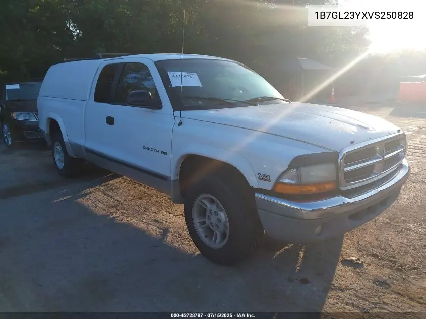 1997 Dodge Dakota Slt/Sport VIN: 1B7GL23YXVS250828 Lot: 42728787