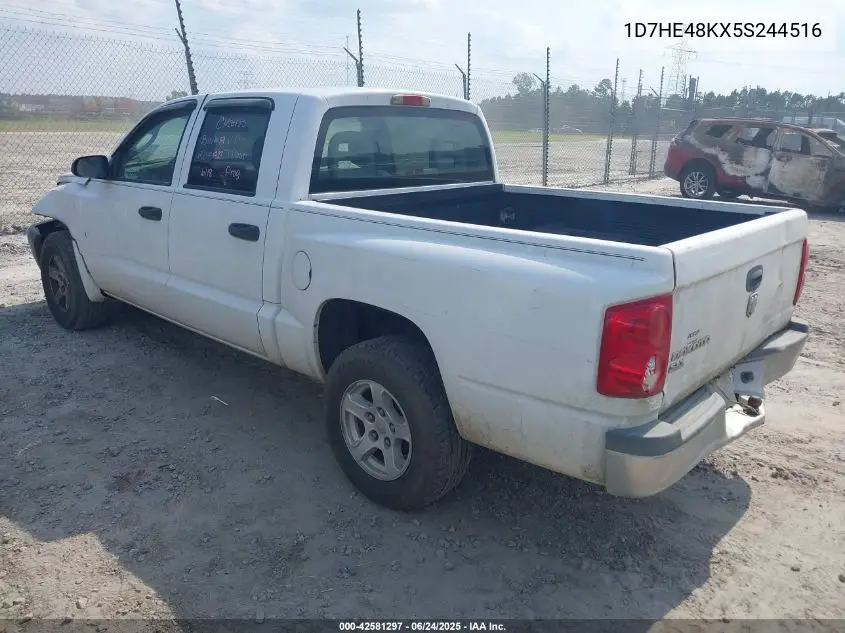 2005 Dodge Dakota Slt VIN: 1D7HE48KX5S244516 Lot: 42581297