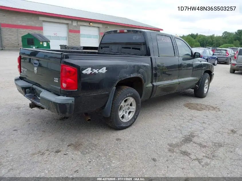 2006 Dodge Dakota Slt VIN: 1D7HW48N36S503257 Lot: 42702889