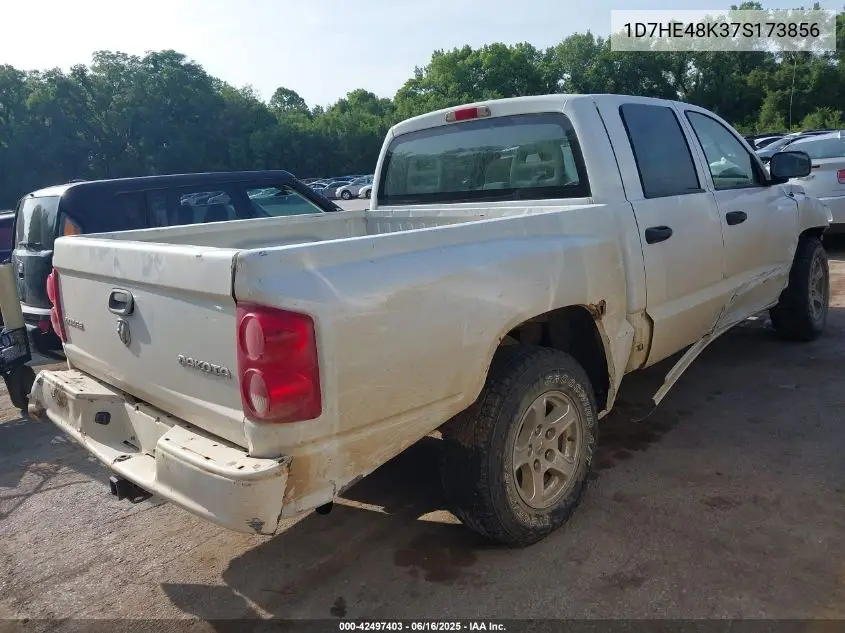 2007 Dodge Dakota Slt VIN: 1D7HE48K37S173856 Lot: 42497403