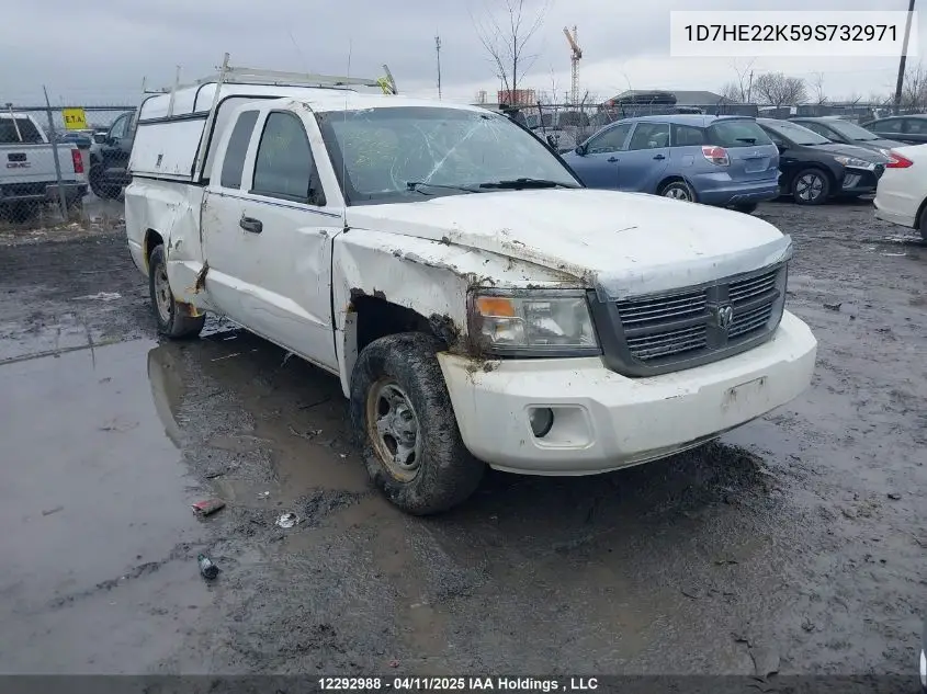2009 Dodge Dakota St VIN: 1D7HE22K59S732971 Lot: 12292988
