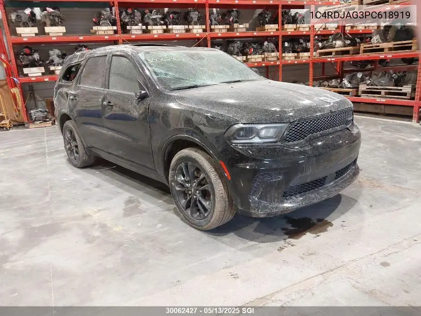 2023 Dodge Durango Sxt VIN: 1C4RDJAG3PC618919 Lot: 30062427