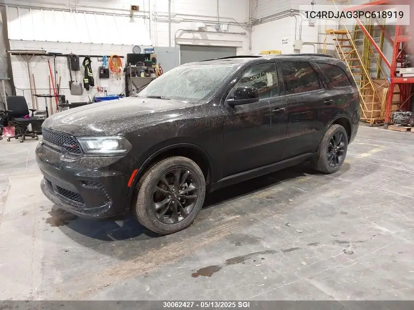 2023 Dodge Durango Sxt VIN: 1C4RDJAG3PC618919 Lot: 30062427