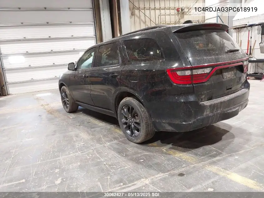 2023 Dodge Durango Sxt VIN: 1C4RDJAG3PC618919 Lot: 30062427