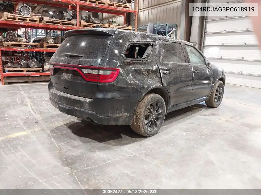 2023 Dodge Durango Sxt VIN: 1C4RDJAG3PC618919 Lot: 30062427