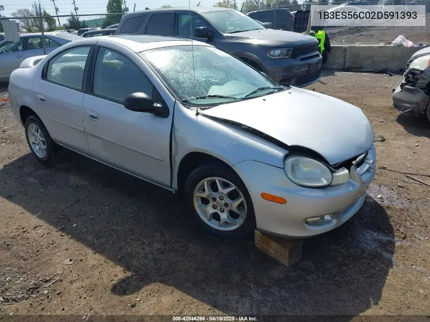 2002 Dodge Neon Sxt VIN: 1B3ES56C02D591393 Lot: 42046266