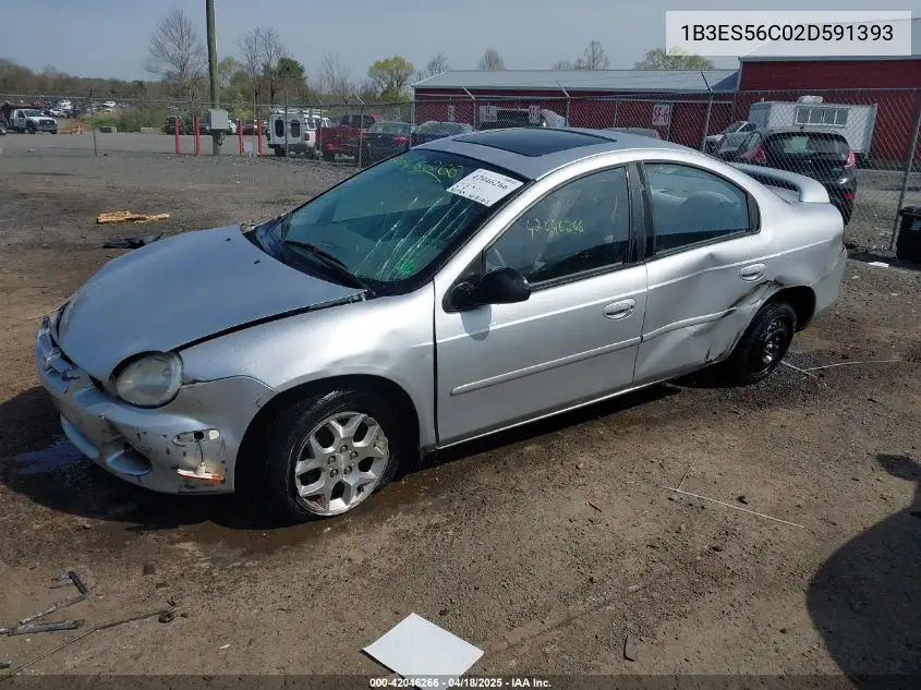 2002 Dodge Neon Sxt VIN: 1B3ES56C02D591393 Lot: 42046266