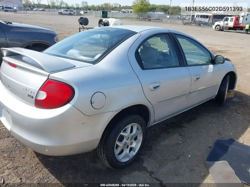 2002 Dodge Neon Sxt VIN: 1B3ES56C02D591393 Lot: 42046266