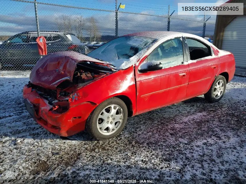 2005 Dodge Neon Sxt VIN: 1B3ES56CX5D289405 Lot: 41841148