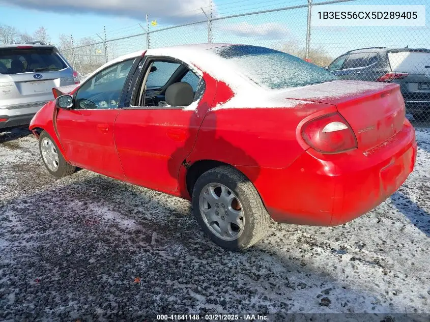 2005 Dodge Neon Sxt VIN: 1B3ES56CX5D289405 Lot: 41841148
