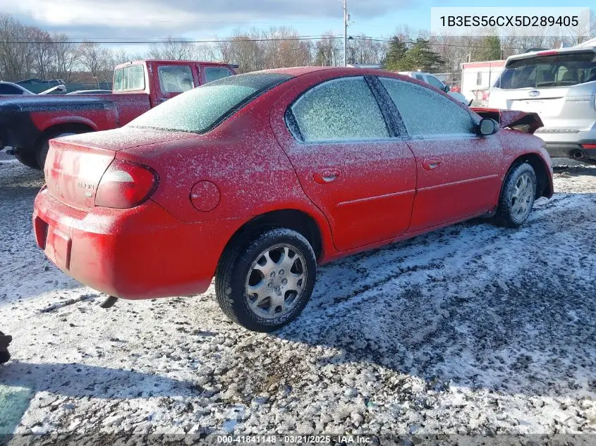 2005 Dodge Neon Sxt VIN: 1B3ES56CX5D289405 Lot: 41841148