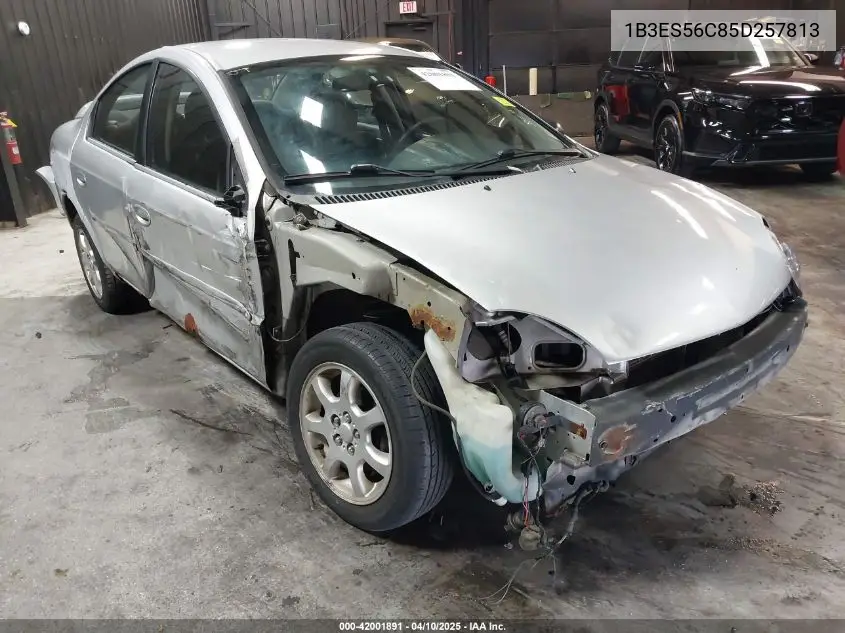 2005 Dodge Neon Sxt VIN: 1B3ES56C85D257813 Lot: 42001891
