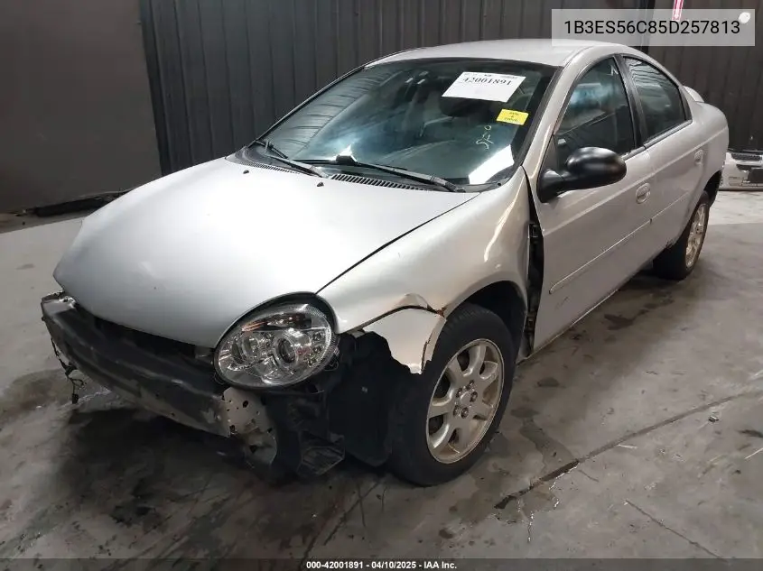 2005 Dodge Neon Sxt VIN: 1B3ES56C85D257813 Lot: 42001891