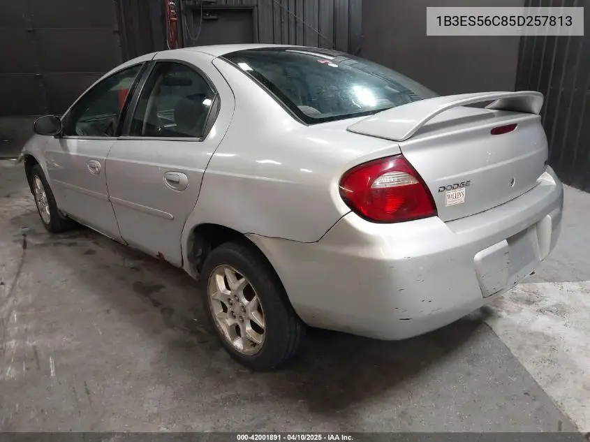 2005 Dodge Neon Sxt VIN: 1B3ES56C85D257813 Lot: 42001891