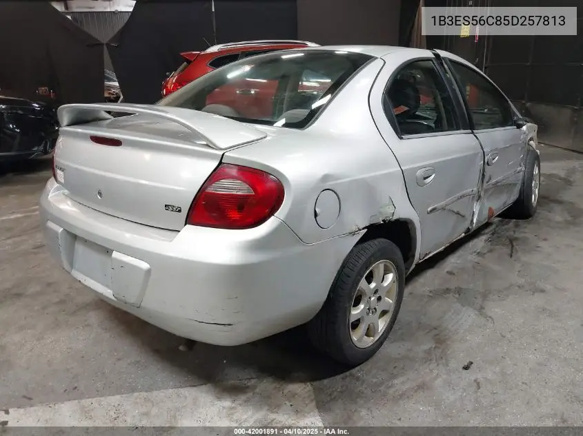 2005 Dodge Neon Sxt VIN: 1B3ES56C85D257813 Lot: 42001891