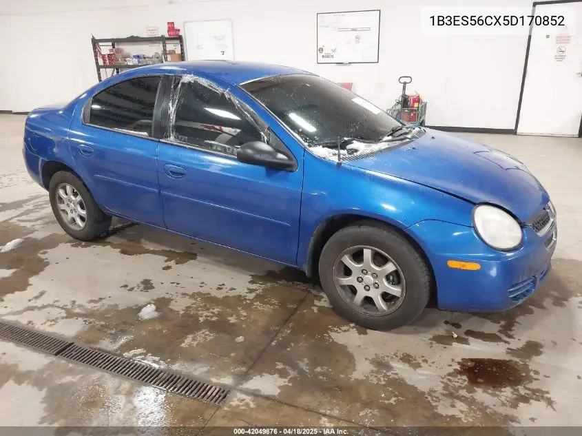 2005 Dodge Neon Sxt VIN: 1B3ES56CX5D170852 Lot: 42049876