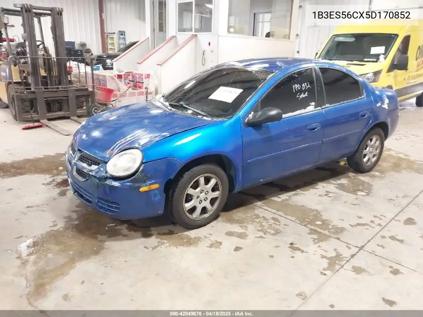 2005 Dodge Neon Sxt VIN: 1B3ES56CX5D170852 Lot: 42049876