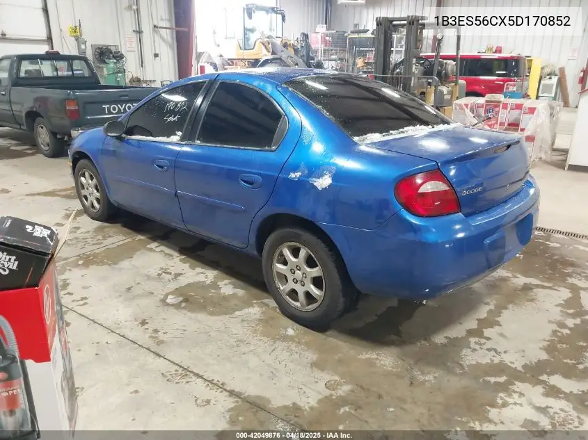 2005 Dodge Neon Sxt VIN: 1B3ES56CX5D170852 Lot: 42049876