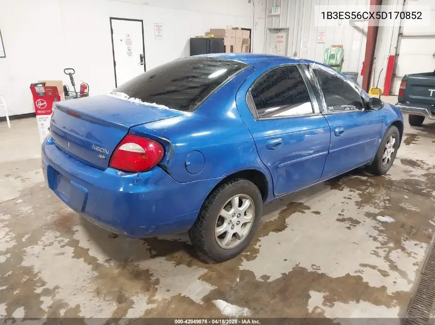2005 Dodge Neon Sxt VIN: 1B3ES56CX5D170852 Lot: 42049876