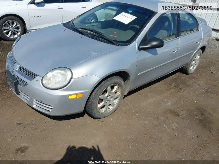 2005 Dodge Neon Sxt VIN: 1B3ES56C75D273890 Lot: 42149159