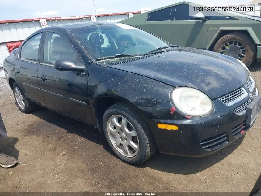 2005 Dodge Neon Sxt VIN: 1B3ES56C55D244078 Lot: 42567860