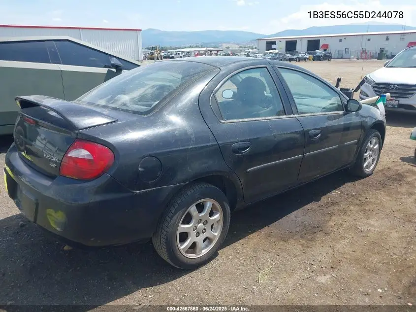 2005 Dodge Neon Sxt VIN: 1B3ES56C55D244078 Lot: 42567860