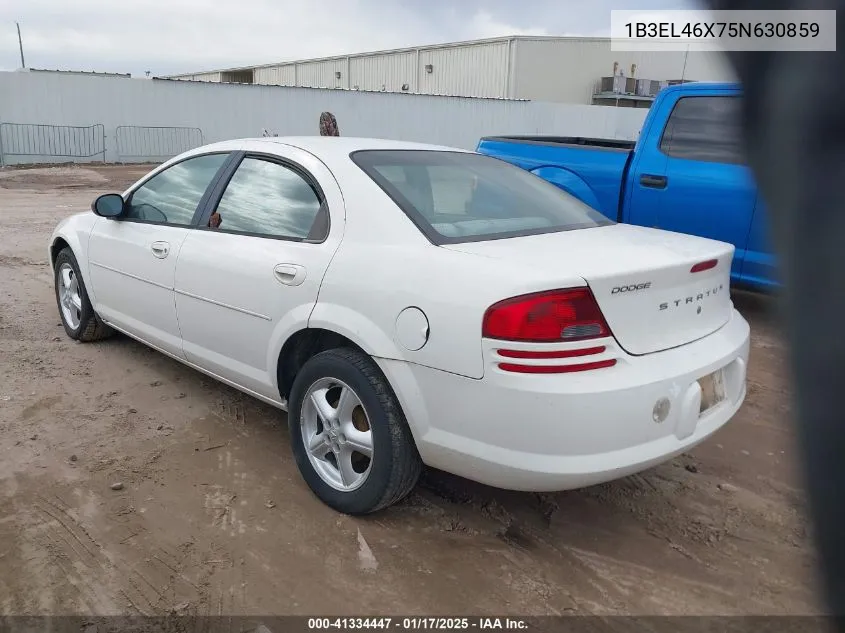 2005 Dodge Stratus Sxt VIN: 1B3EL46X75N630859 Lot: 41334447