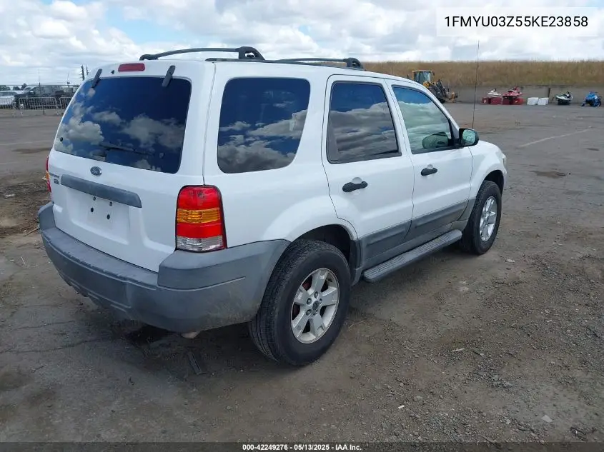 2005 Ford Escape Xlt VIN: 1FMYU03Z55KE23858 Lot: 42249276