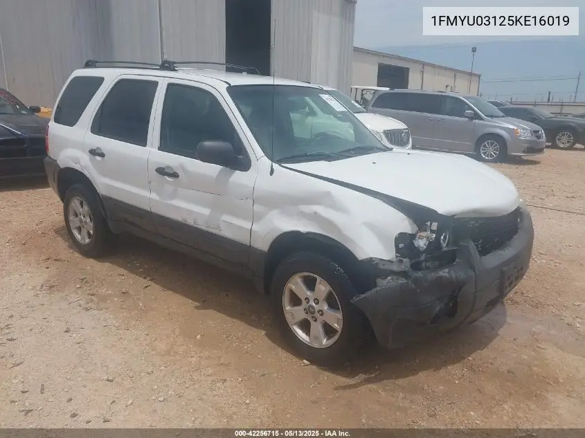 2005 Ford Escape Xlt VIN: 1FMYU03125KE16019 Lot: 42256715