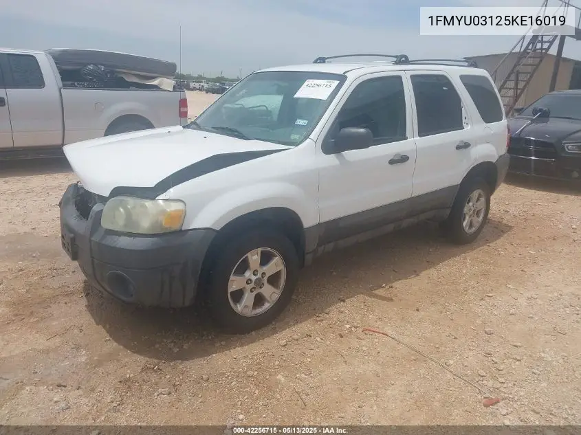 2005 Ford Escape Xlt VIN: 1FMYU03125KE16019 Lot: 42256715