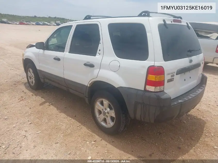 2005 Ford Escape Xlt VIN: 1FMYU03125KE16019 Lot: 42256715