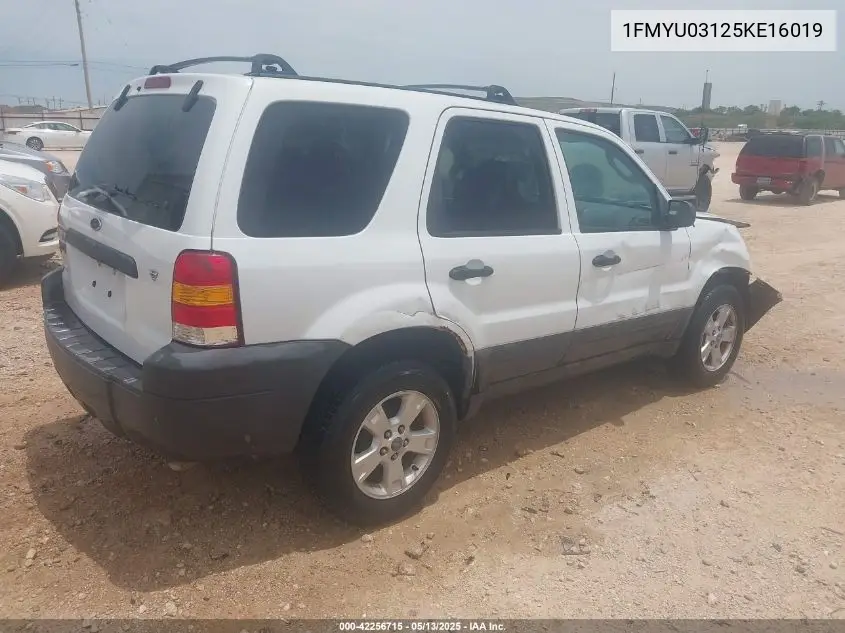 2005 Ford Escape Xlt VIN: 1FMYU03125KE16019 Lot: 42256715