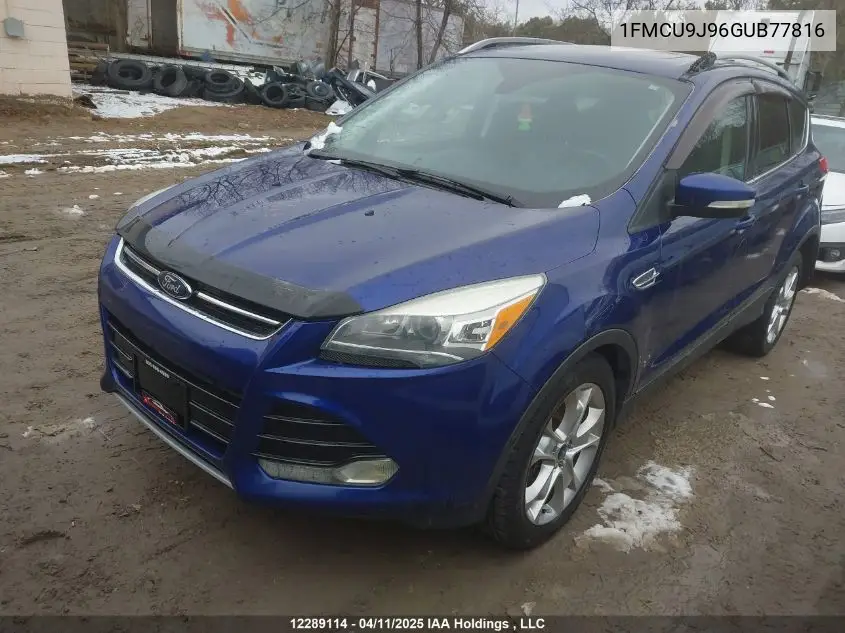 1fmcu9j96gub77816 1FMCU9J96GUB77816 2016 Ford Escape
