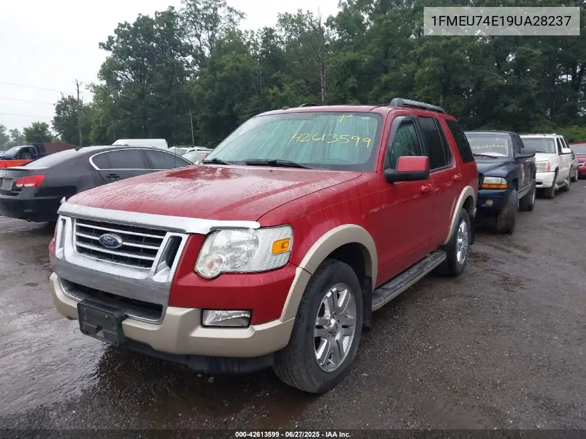 2009 Ford Explorer Eddie Bauer VIN: 1FMEU74E19UA28237 Lot: 42613599