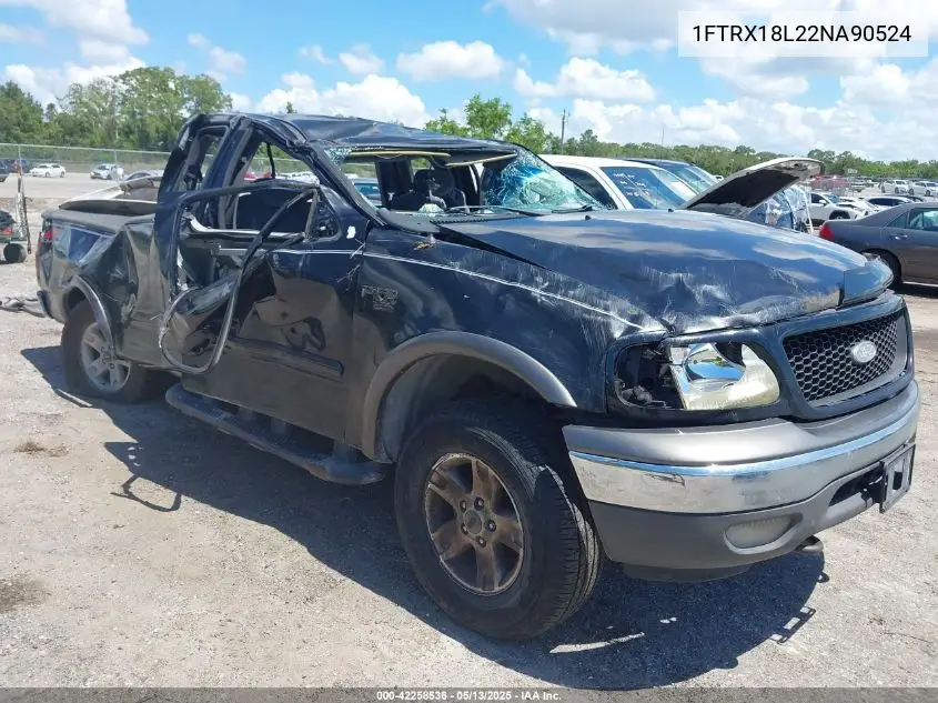 2002 Ford F-150 Lariat/Xl/Xlt VIN: 1FTRX18L22NA90524 Lot: 42258536