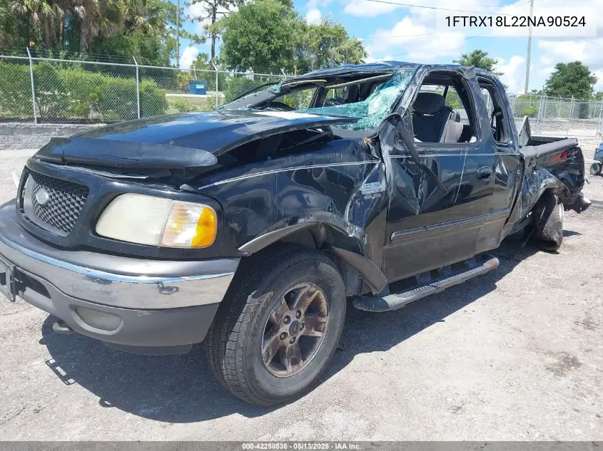 2002 Ford F-150 Lariat/Xl/Xlt VIN: 1FTRX18L22NA90524 Lot: 42258536