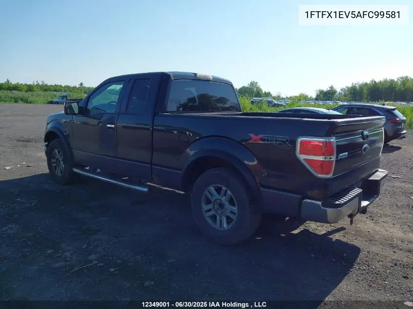 2010 Ford F-150 Fx4/Lariat/Svt Raptor/Xl/Xlt VIN: 1FTFX1EV5AFC99581 Lot: 12349001X