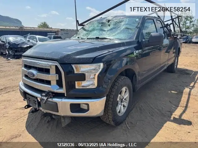 2016 Ford F-150 Xlt VIN: 1FTEX1EF2GKE58254 Lot: 12329336X