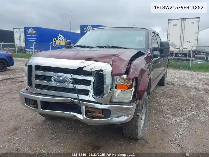 2009 Ford F-250 Fx4/King Ranch/Lariat/Xl/Xlt VIN: 1FTSW21579EB11352 Lot: 12318746