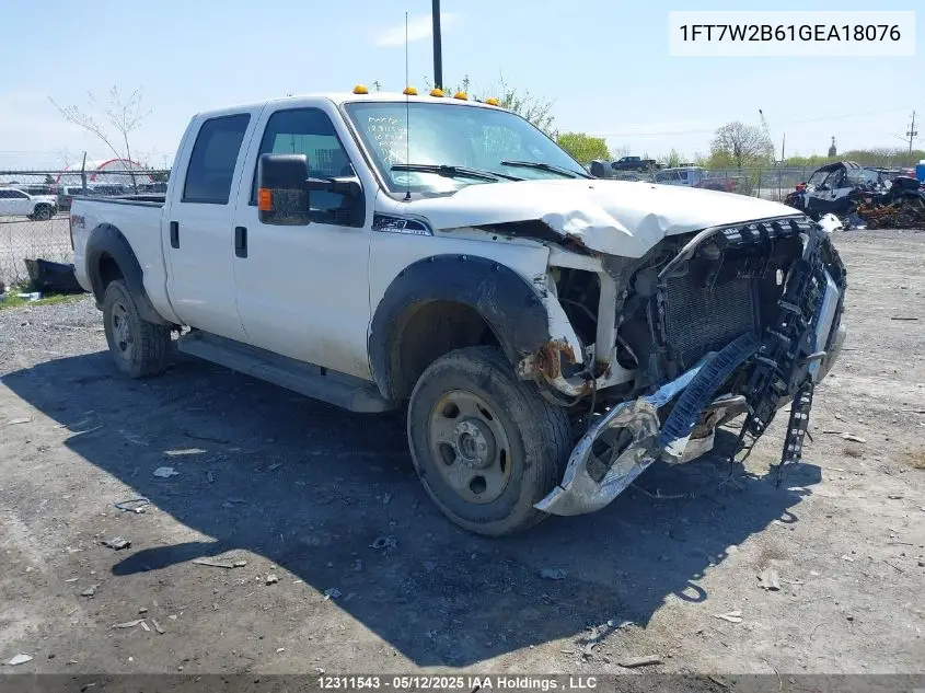 2016 Ford F250 Super Duty VIN: 1FT7W2B61GEA18076 Lot: 12311543