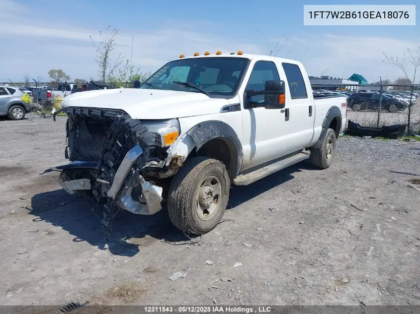 2016 Ford F250 Super Duty VIN: 1FT7W2B61GEA18076 Lot: 12311543