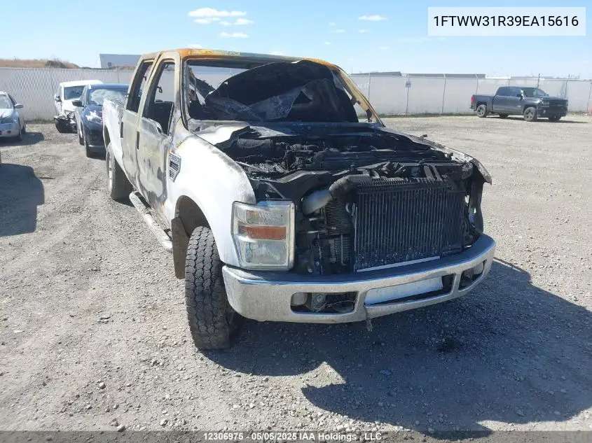 2009 Ford F350 Super Duty VIN: 1FTWW31R39EA15616 Lot: 12306975