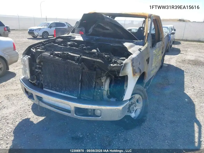 2009 Ford F350 Super Duty VIN: 1FTWW31R39EA15616 Lot: 12306975