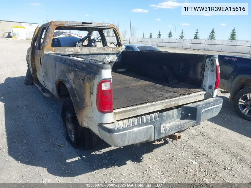 2009 Ford F350 Super Duty VIN: 1FTWW31R39EA15616 Lot: 12306975