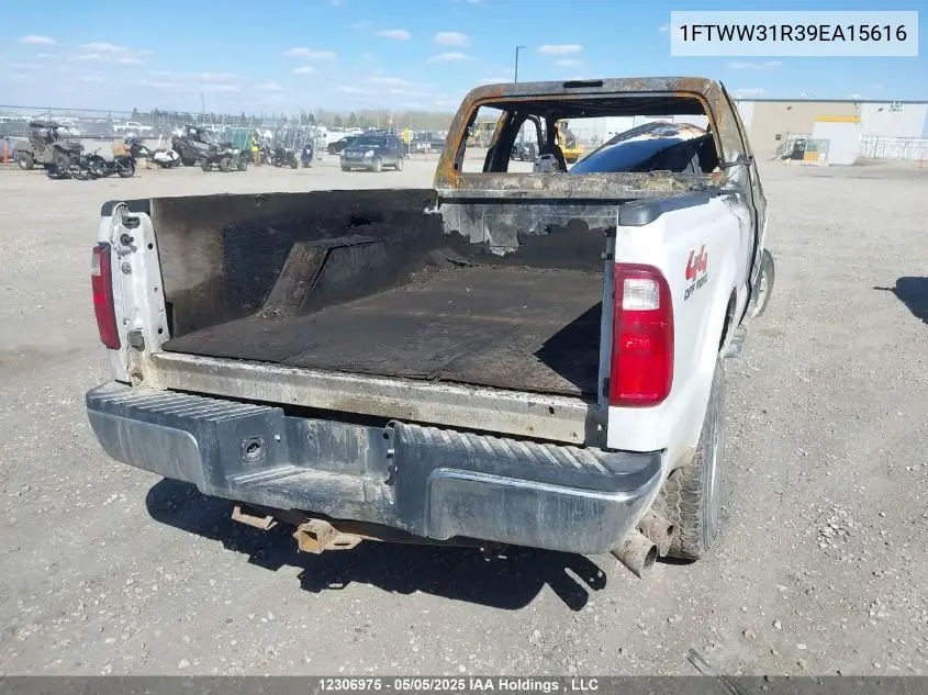 2009 Ford F350 Super Duty VIN: 1FTWW31R39EA15616 Lot: 12306975