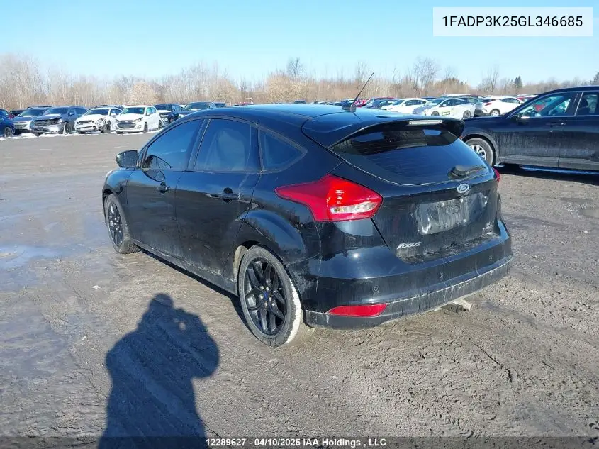 2016 Ford Focus Se VIN: 1FADP3K25GL346685 Lot: 12289627