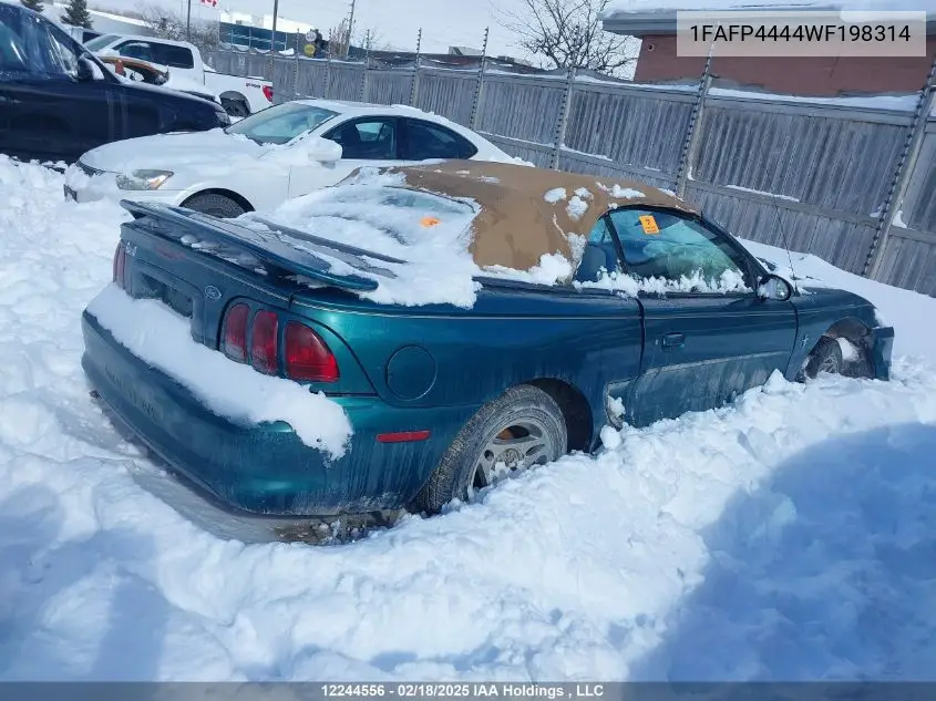 1998 Ford Mustang VIN: 1FAFP4444WF198314 Lot: 12244556