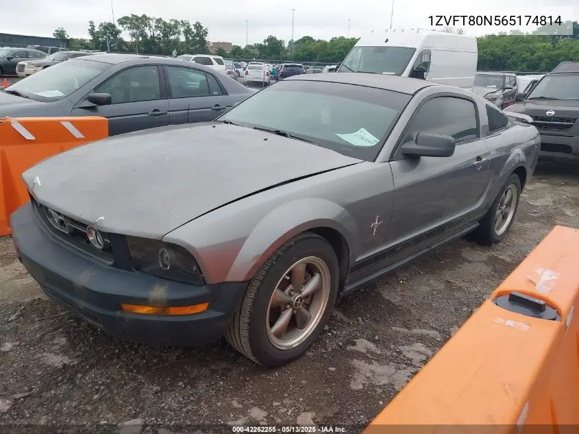 2006 Ford Mustang V6 VIN: 1ZVFT80N565174814 Lot: 42262255